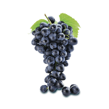 Экстракт виноградных косточек